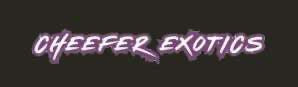 Cheefer Exotics 